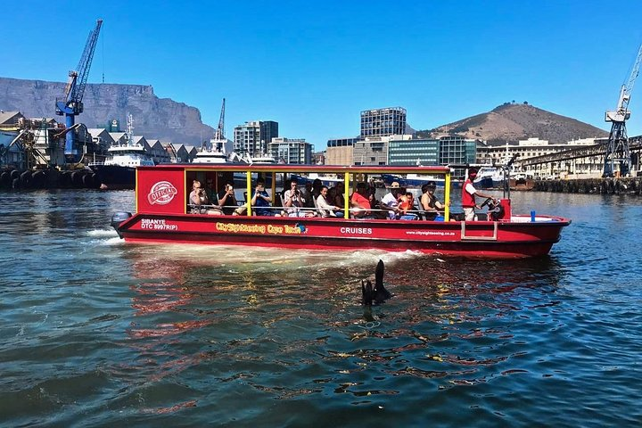 V&A Seal & Harbour cruise